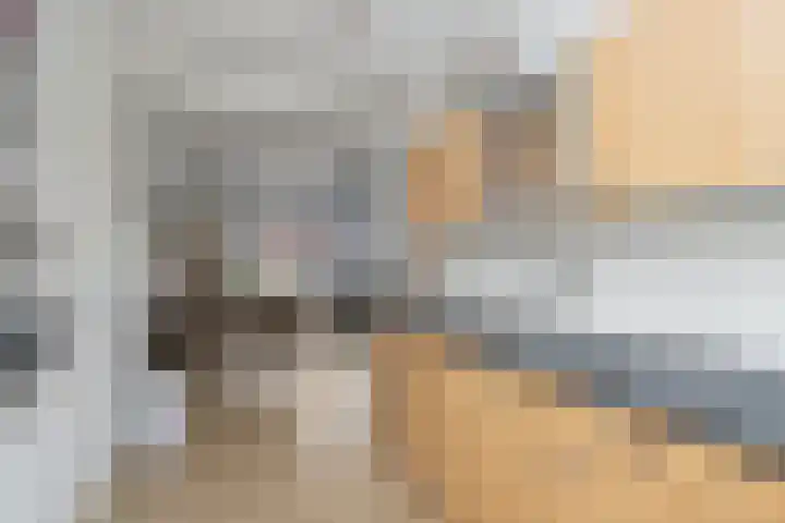 Zweermanstraat 16 Losser thumbnail 16
