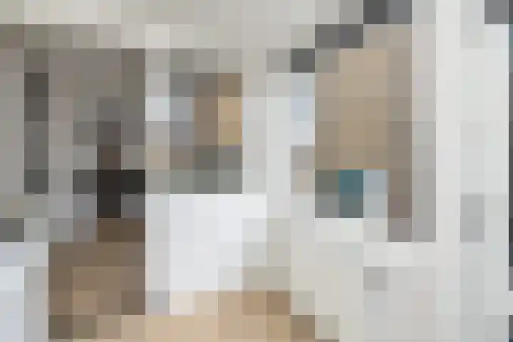 Zweermanstraat 16 Losser thumbnail 21