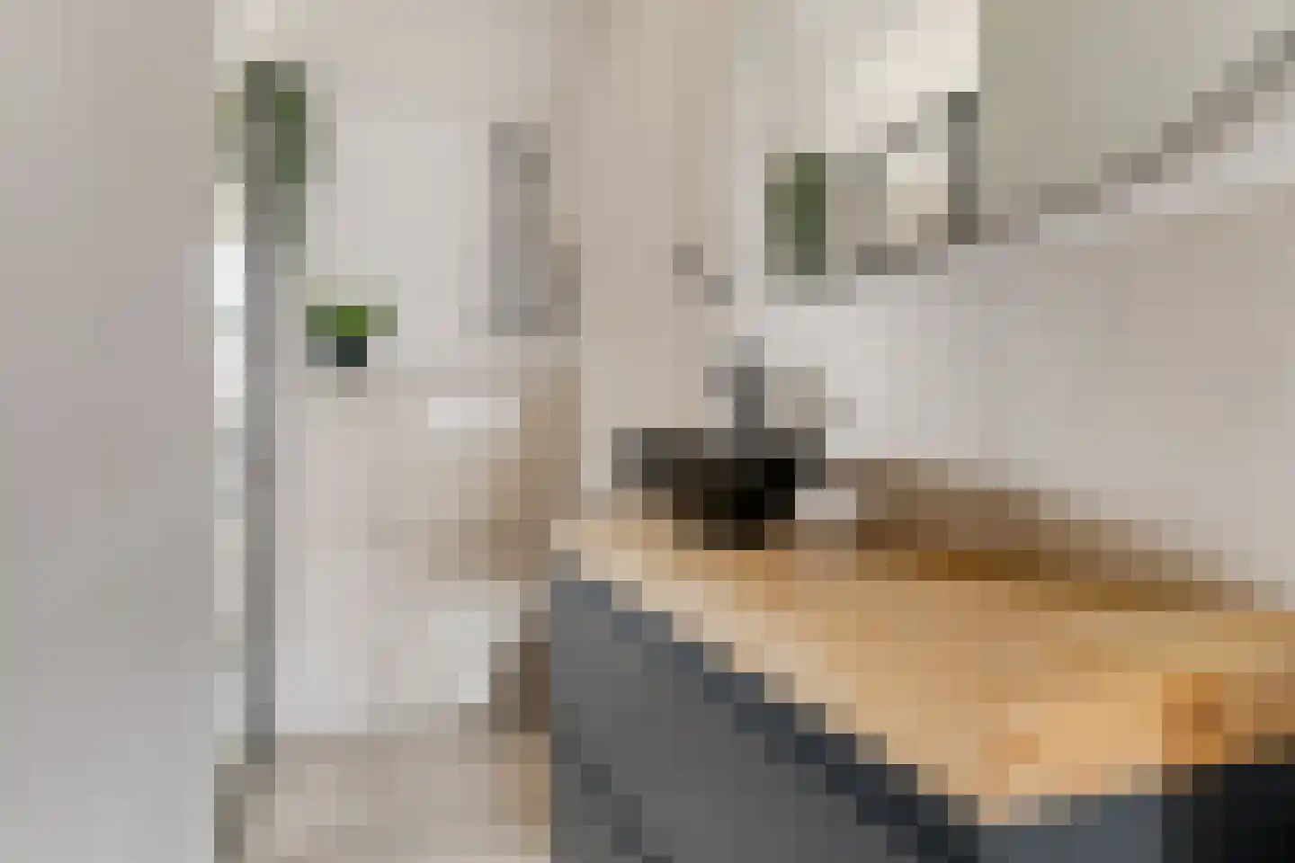Zweermanstraat 9 Losser thumbnail 32