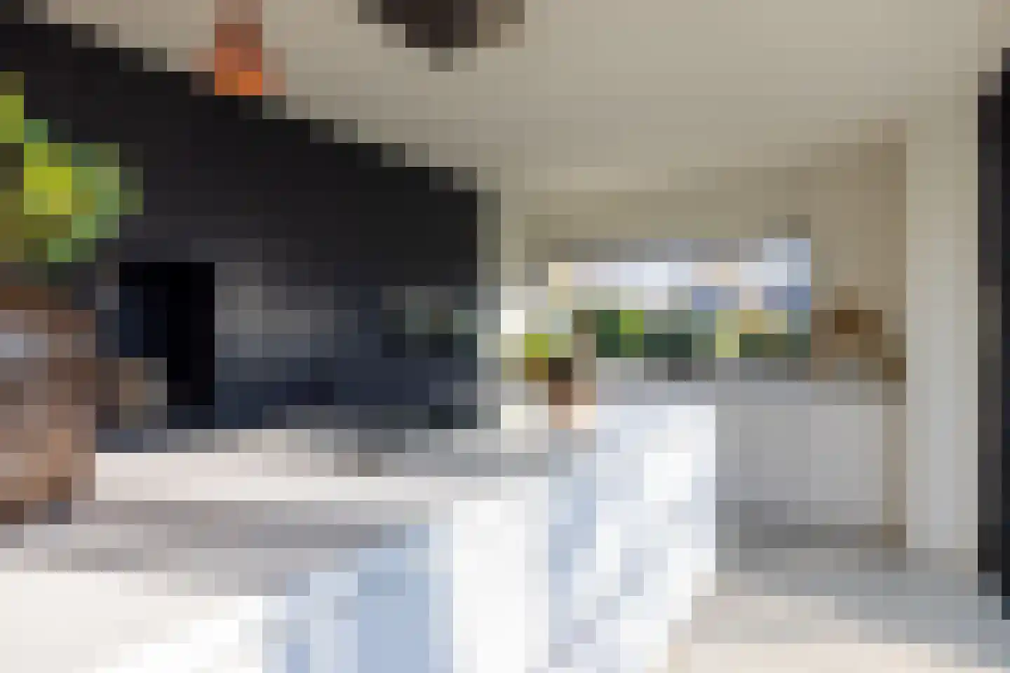 Zweerslaan 1 Rotterdam thumbnail 15