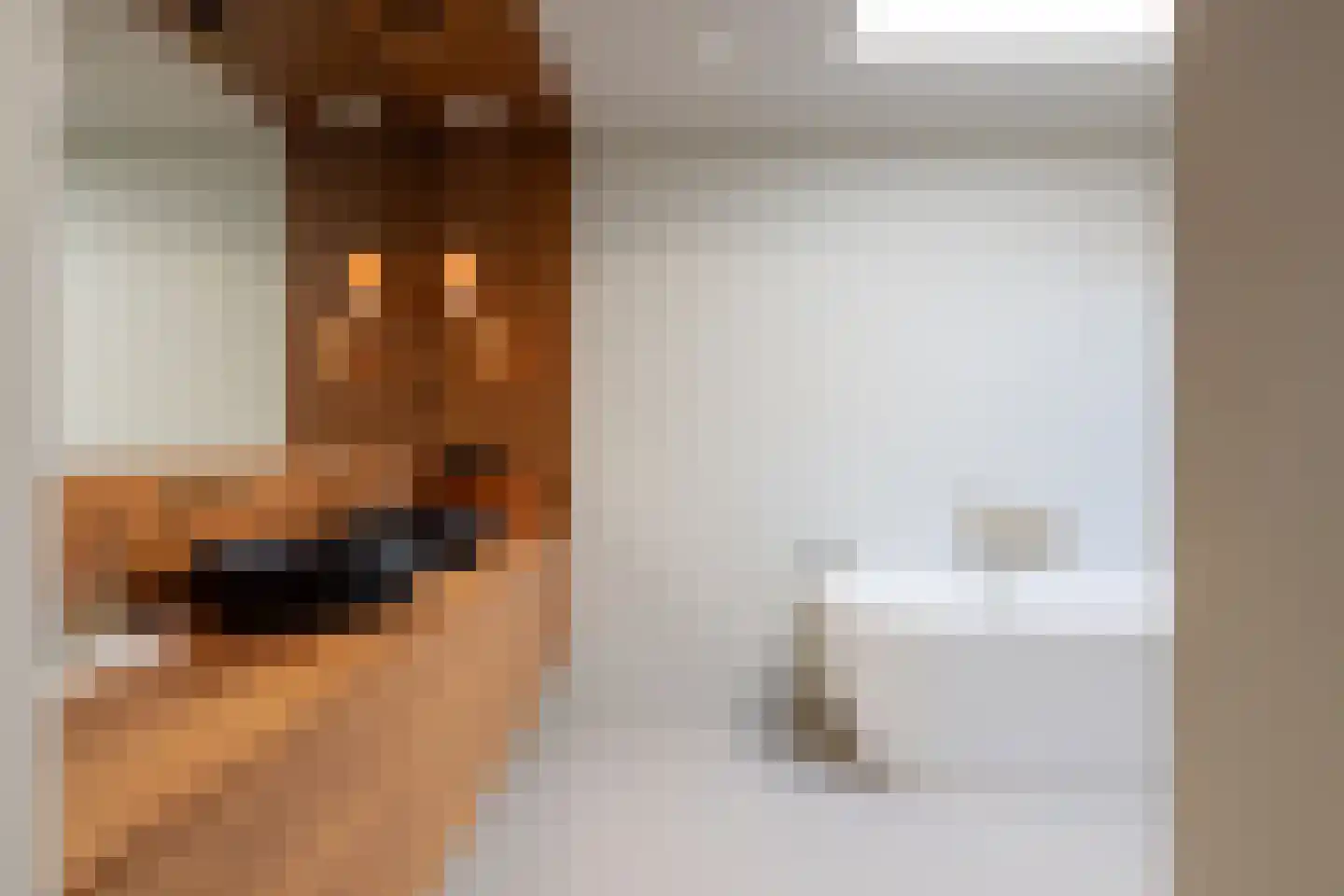Zweerslaan 1 Rotterdam thumbnail 30