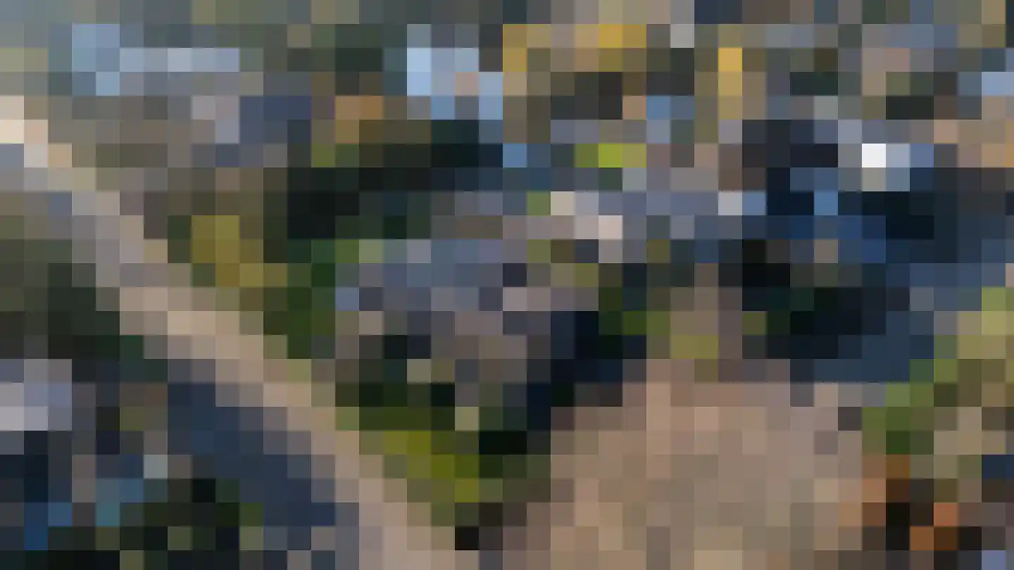 Zweerslaan 1 Rotterdam thumbnail 5