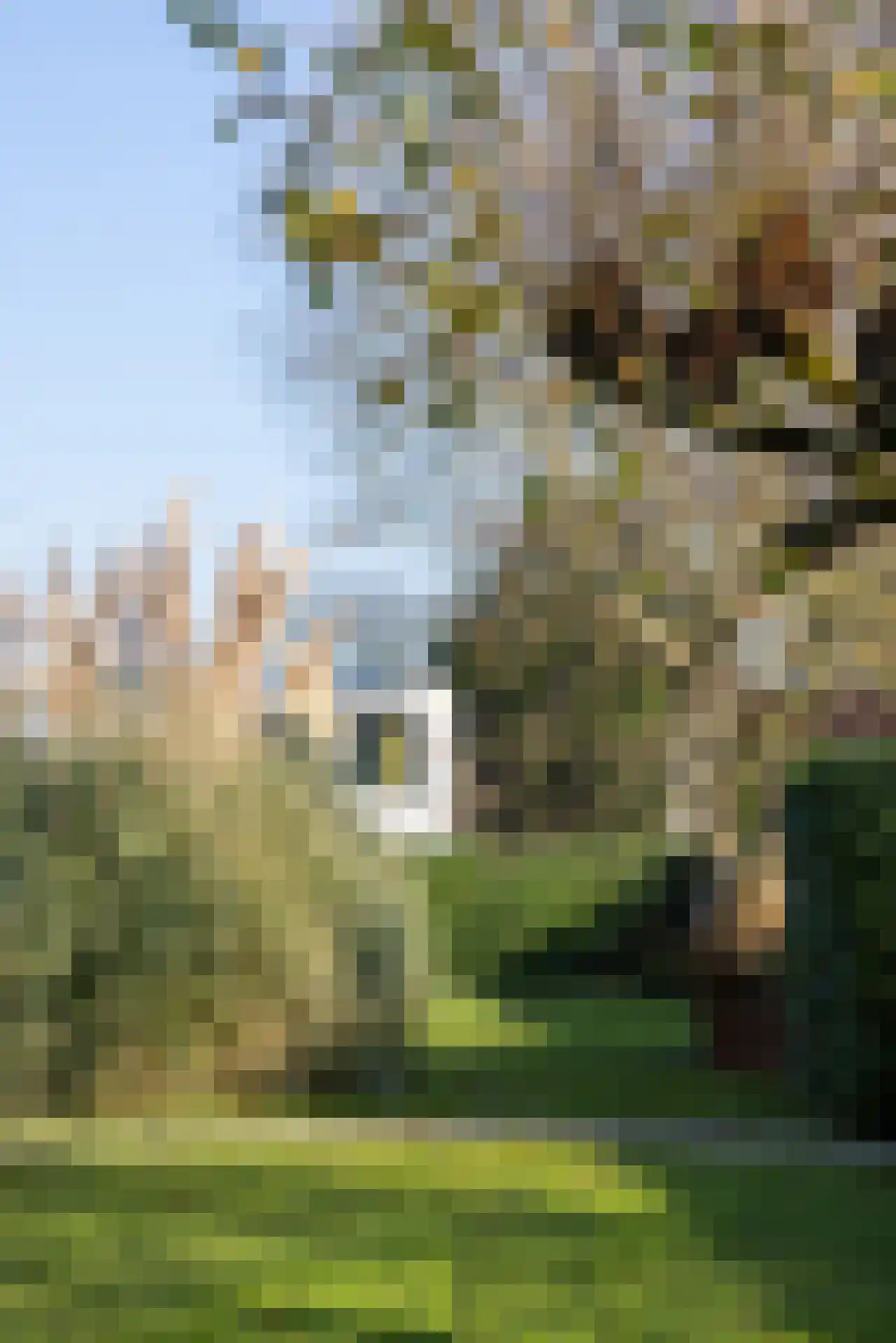Zweerslaan 1 Rotterdam thumbnail 50