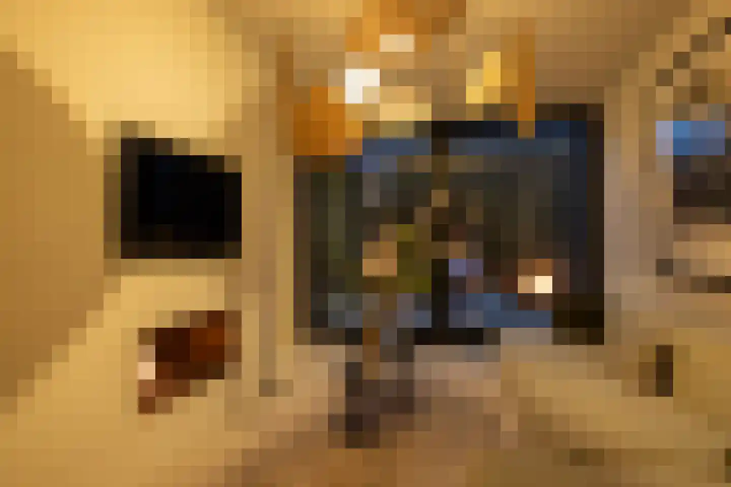 Zweerslaan 1 Rotterdam thumbnail 58