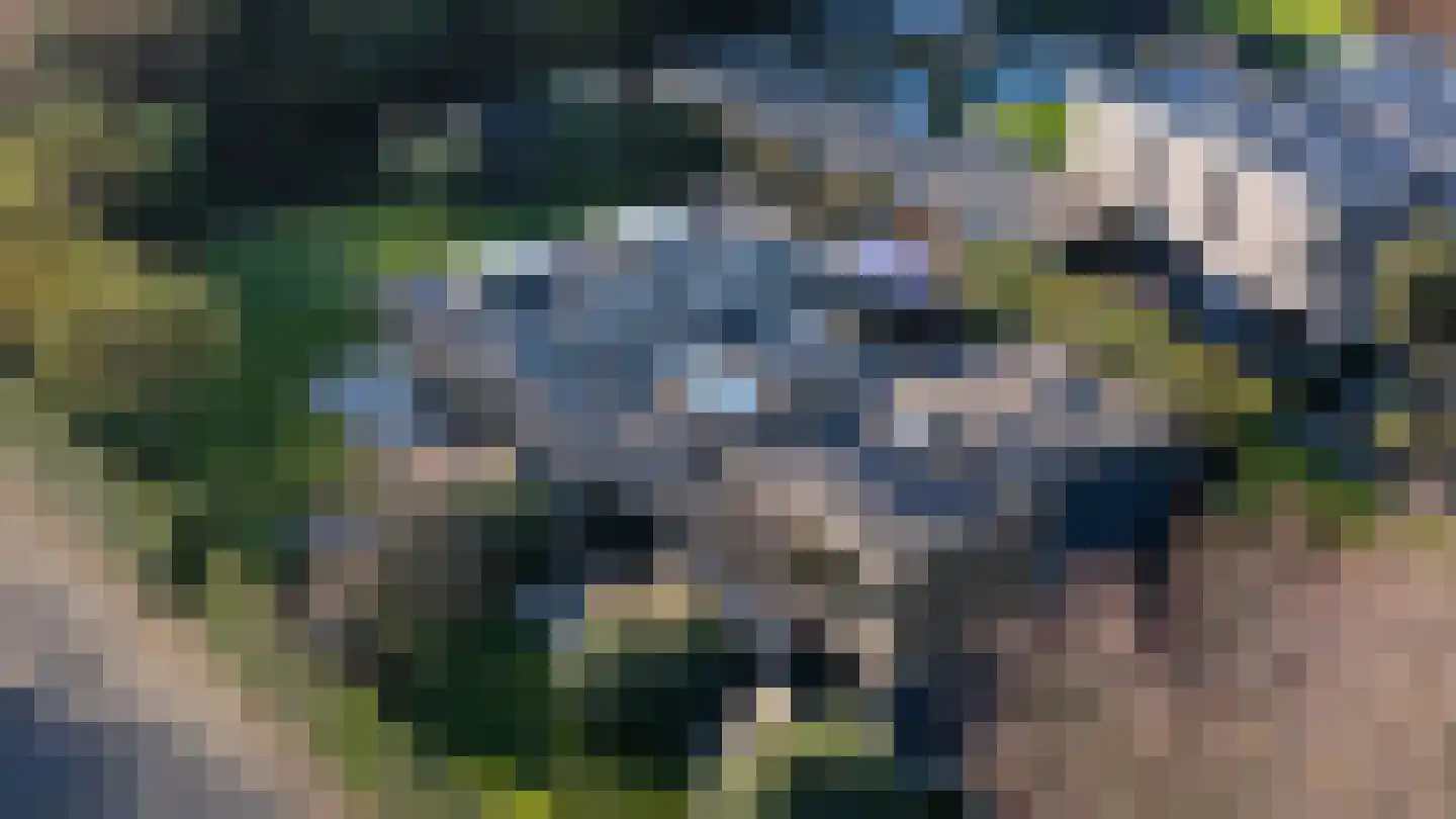 Zweerslaan 1 Rotterdam thumbnail 65