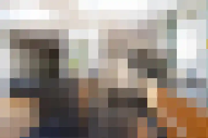 Zweerslaan 15 Bilthoven thumbnail 21