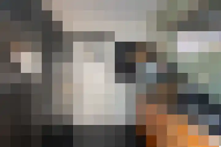 Zweerslaan 15 Bilthoven thumbnail 22