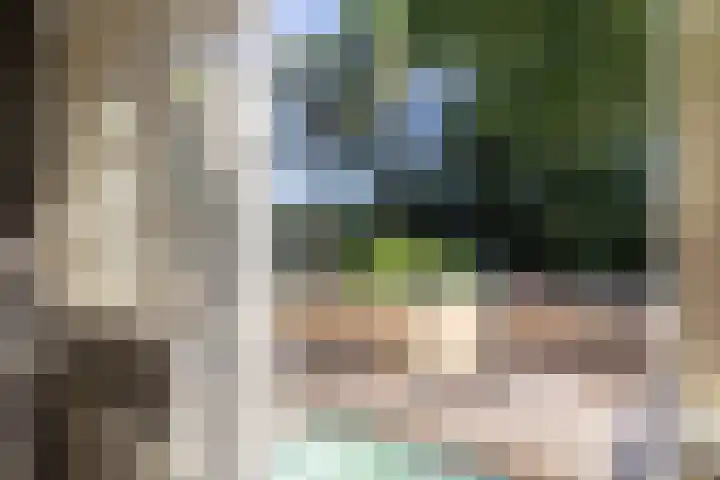 Zweerslaan 15 Bilthoven thumbnail 31