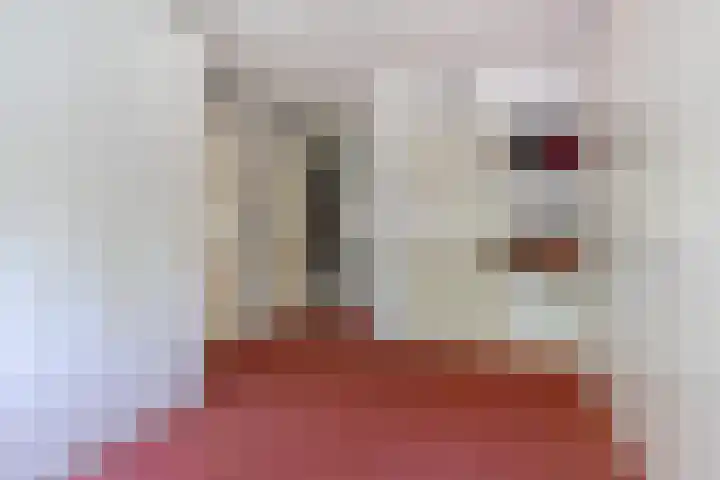 Zweerslaan 15 Bilthoven thumbnail 33