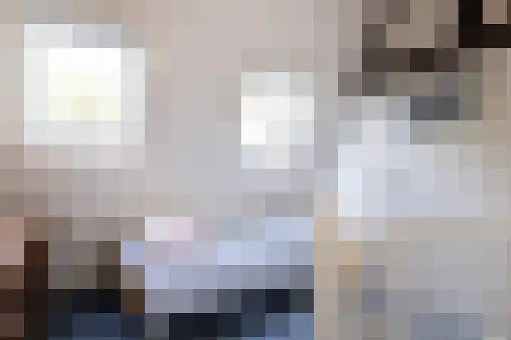 Zweerslaan 15 Bilthoven thumbnail 39