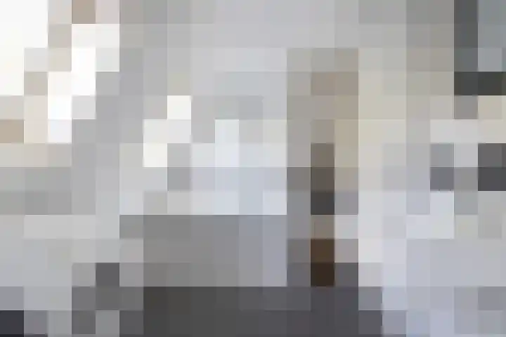 Zweerslaan 15 Bilthoven thumbnail 41