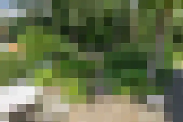 Zweerslaan 15 Bilthoven thumbnail 44