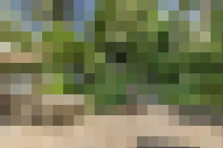 Zweerslaan 15 Bilthoven thumbnail 45