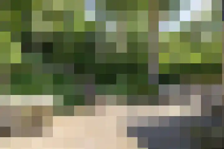 Zweerslaan 15 Bilthoven thumbnail 46