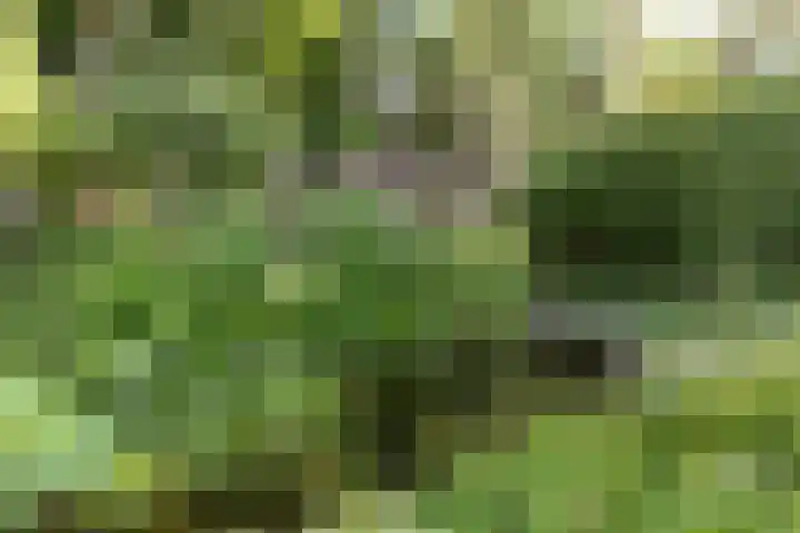 Zweerslaan 15 Bilthoven thumbnail 49