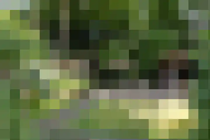Zweerslaan 15 Bilthoven thumbnail 50