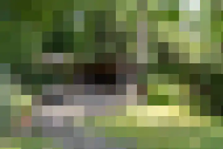 Zweerslaan 15 Bilthoven thumbnail 51