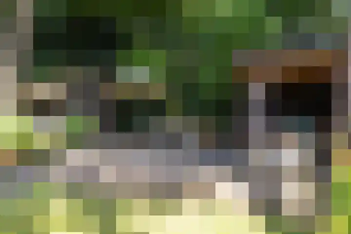 Zweerslaan 15 Bilthoven thumbnail 52