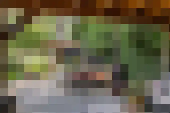 Zweerslaan 15 Bilthoven thumbnail 54