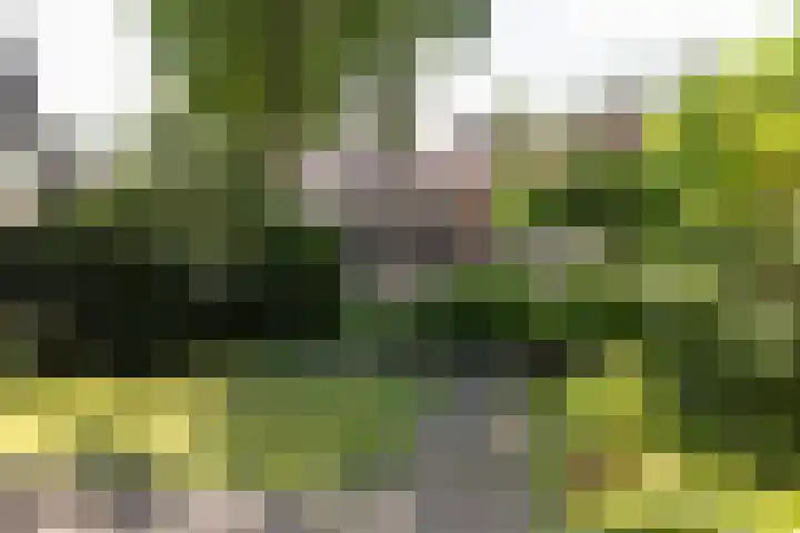 Zweerslaan 15 Bilthoven thumbnail 55