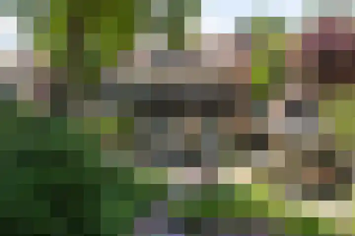 Zweerslaan 15 Bilthoven thumbnail 56