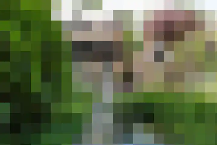 Zweerslaan 15 Bilthoven thumbnail 57