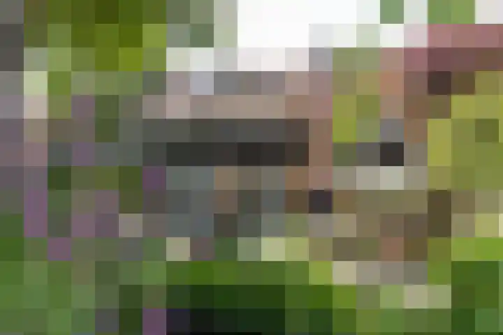 Zweerslaan 15 Bilthoven thumbnail 58
