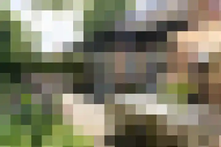 Zweerslaan 15 Bilthoven thumbnail 59
