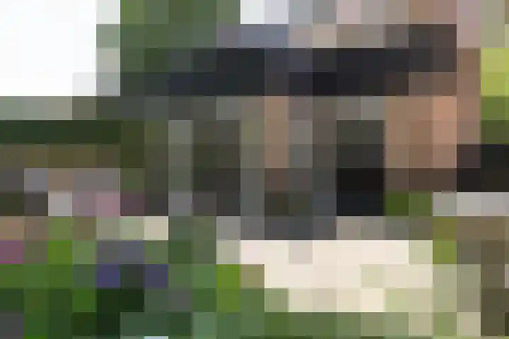 Zweerslaan 15 Bilthoven thumbnail 60