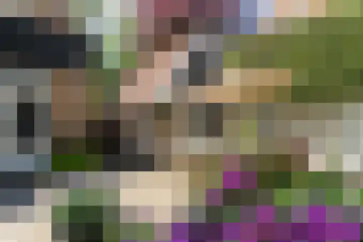 Zweerslaan 15 Bilthoven thumbnail 61