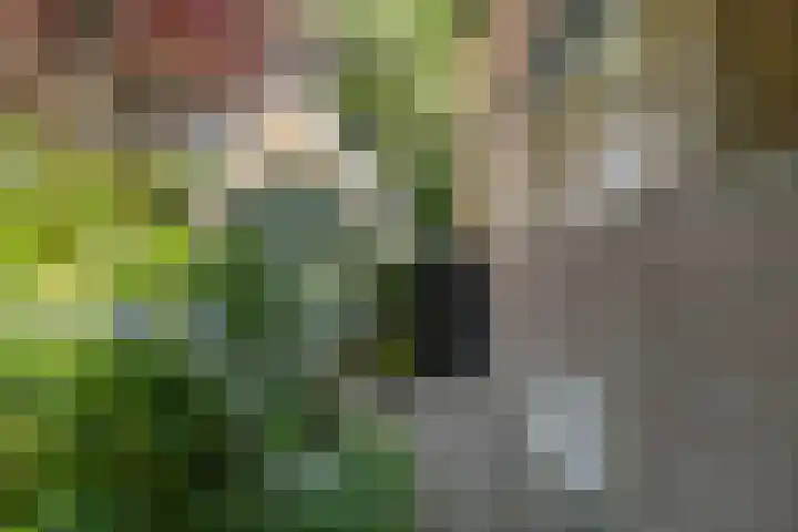 Zweerslaan 15 Bilthoven thumbnail 64