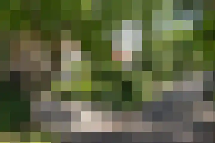 Zweerslaan 15 Bilthoven thumbnail 65