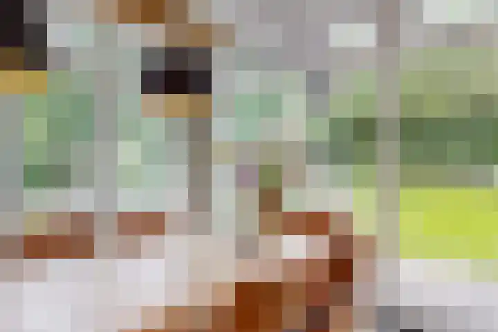 Zweerslaan 31 Bilthoven thumbnail 24
