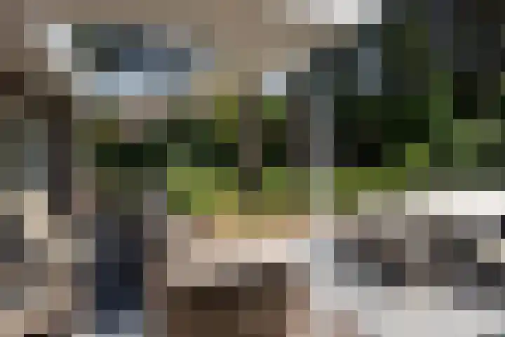 Zweerslaan 31 Bilthoven thumbnail 26