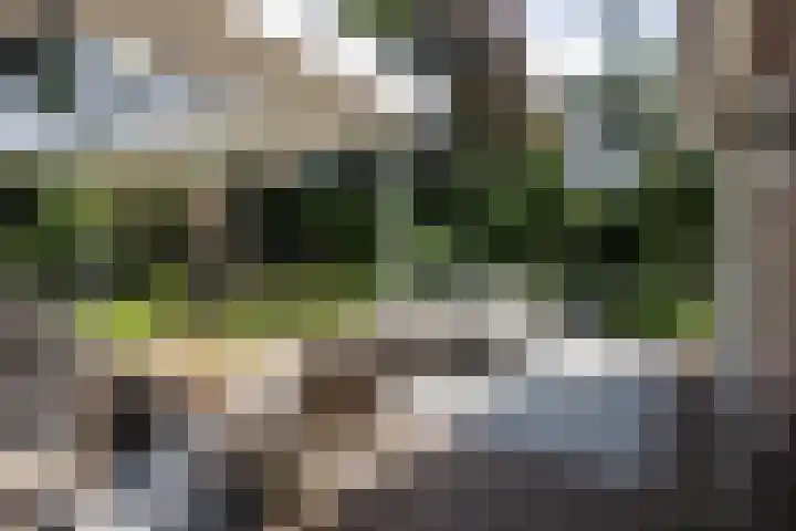 Zweerslaan 31 Bilthoven thumbnail 27