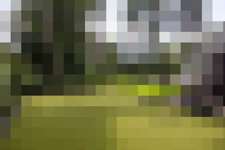 Zweerslaan 31 Bilthoven thumbnail 28