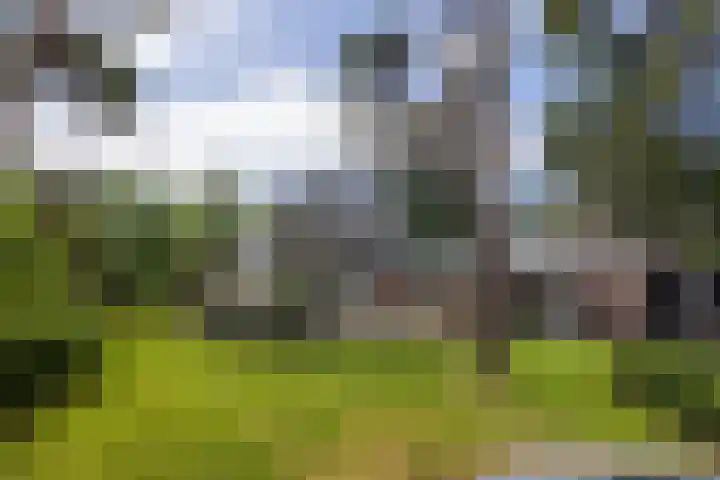 Zweerslaan 31 Bilthoven thumbnail 29