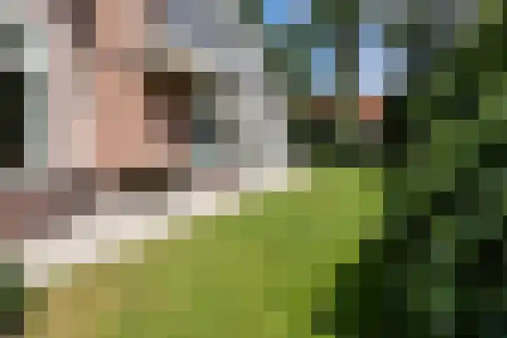 Zweerslaan 31 Bilthoven thumbnail 66
