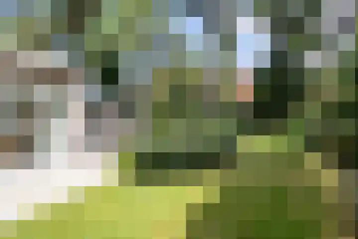 Zweerslaan 31 Bilthoven thumbnail 67