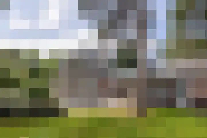 Zweerslaan 31 Bilthoven thumbnail 69
