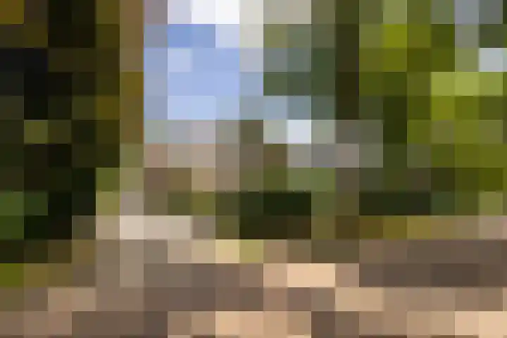 Zweerslaan 31 Bilthoven thumbnail 70
