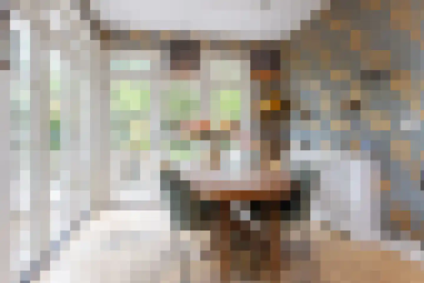 Zweerslaan 36 Bilthoven thumbnail 17