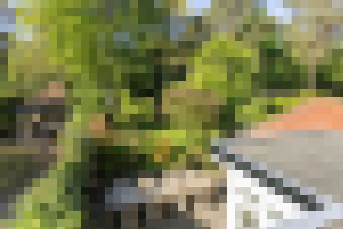 Zweerslaan 36 Bilthoven thumbnail 44