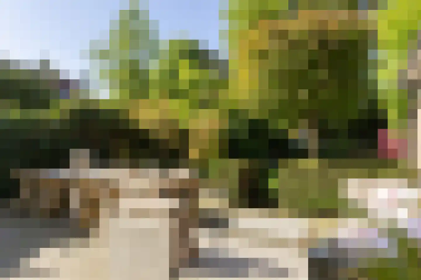 Zweerslaan 36 Bilthoven thumbnail 45