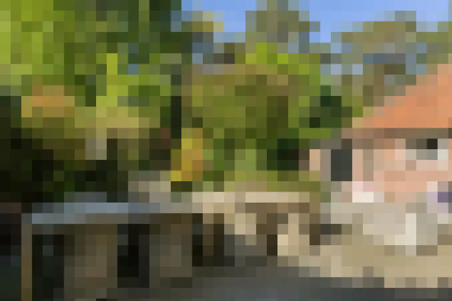 Zweerslaan 36 Bilthoven thumbnail 46