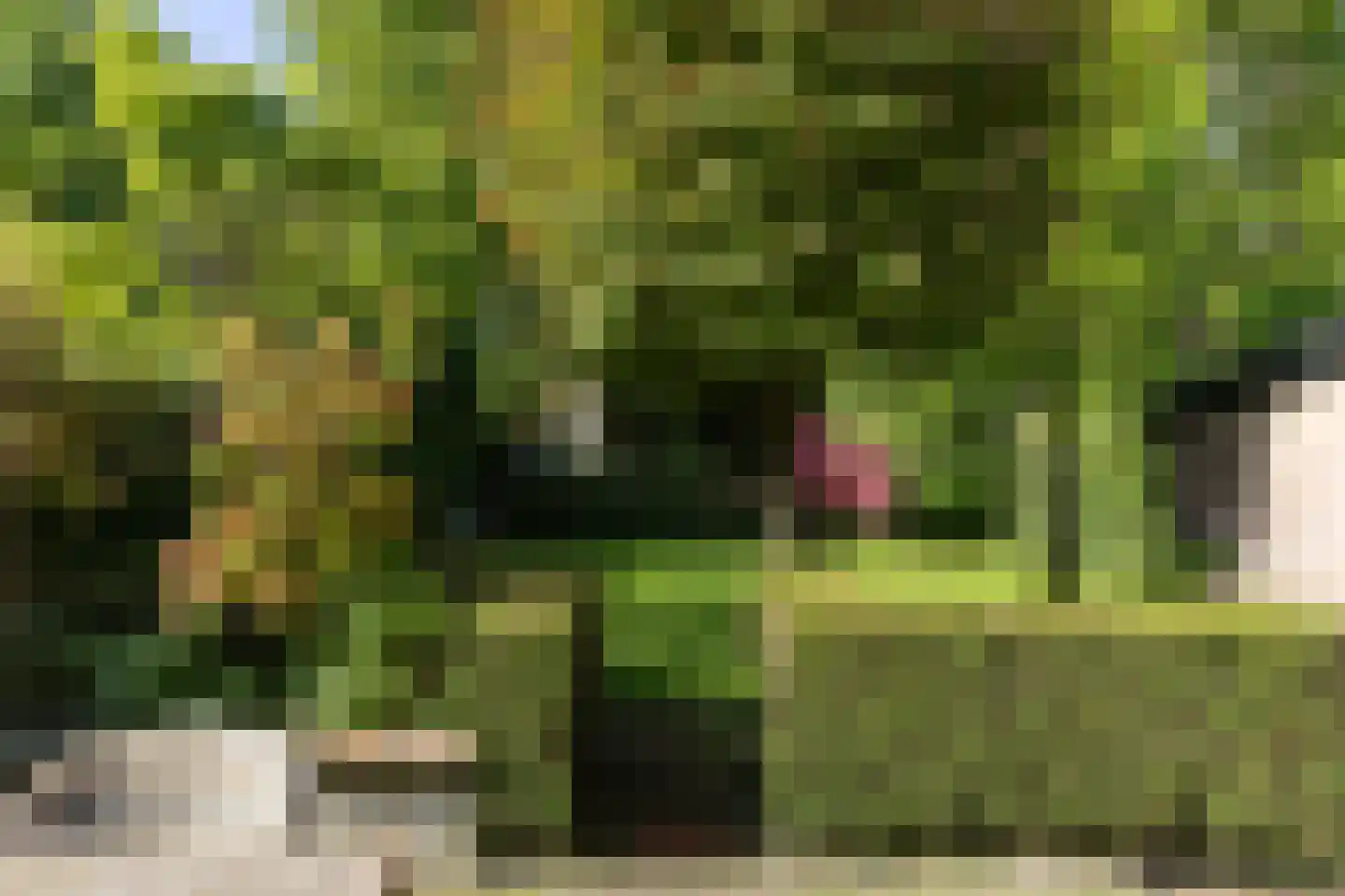 Zweerslaan 36 Bilthoven thumbnail 47