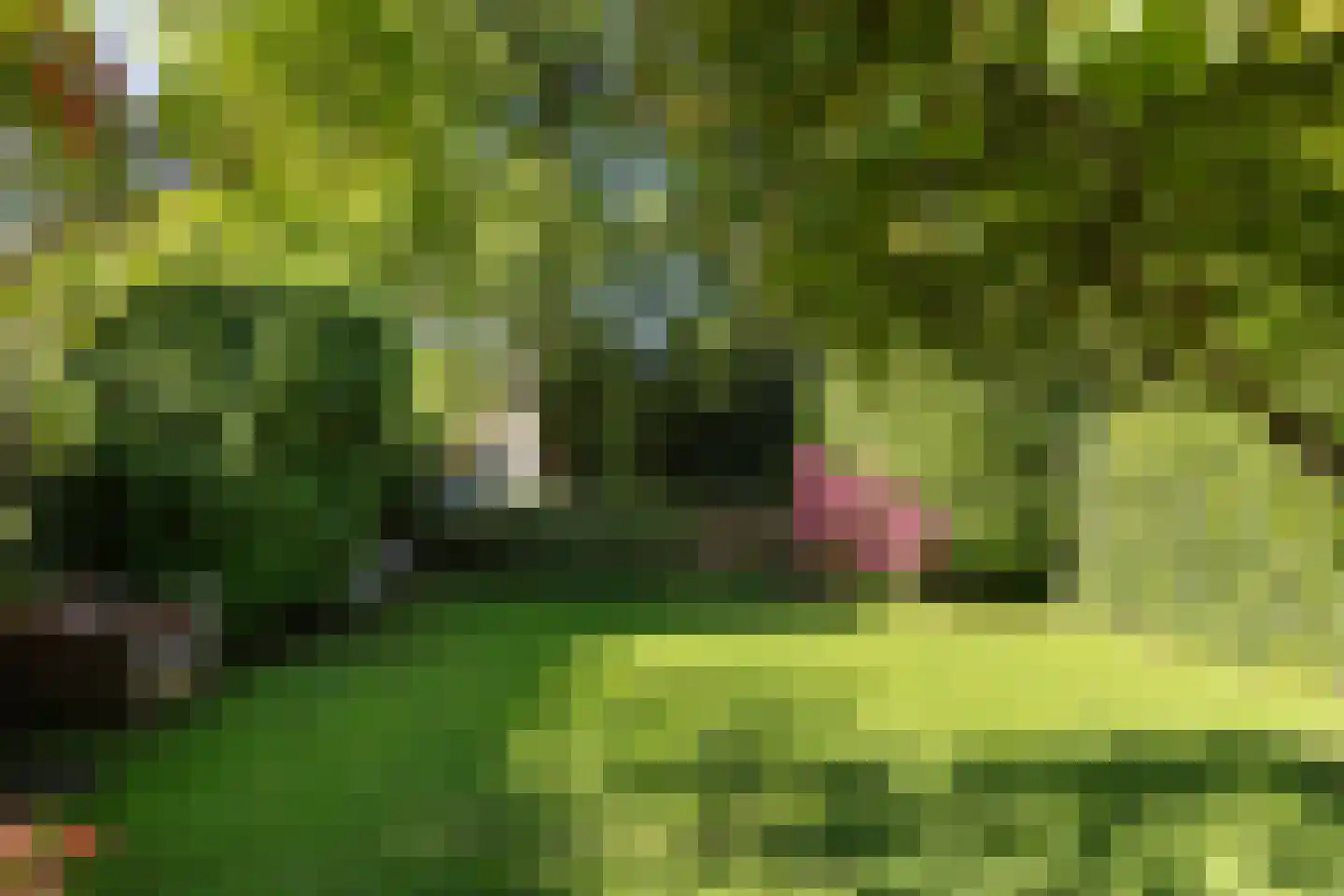 Zweerslaan 36 Bilthoven thumbnail 48