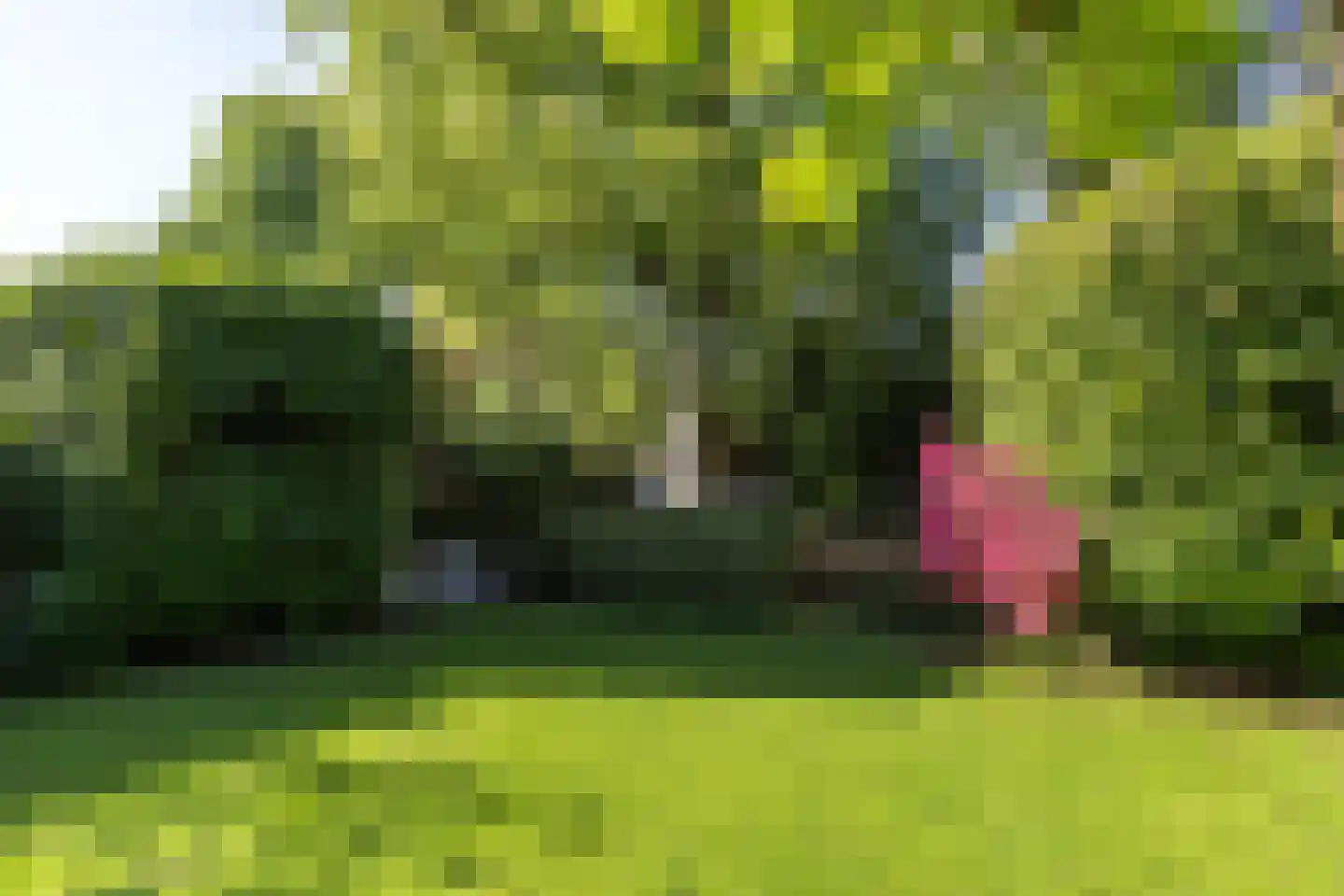 Zweerslaan 36 Bilthoven thumbnail 49