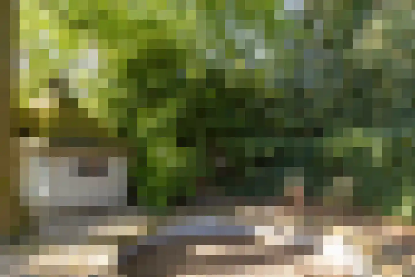 Zweerslaan 36 Bilthoven thumbnail 52