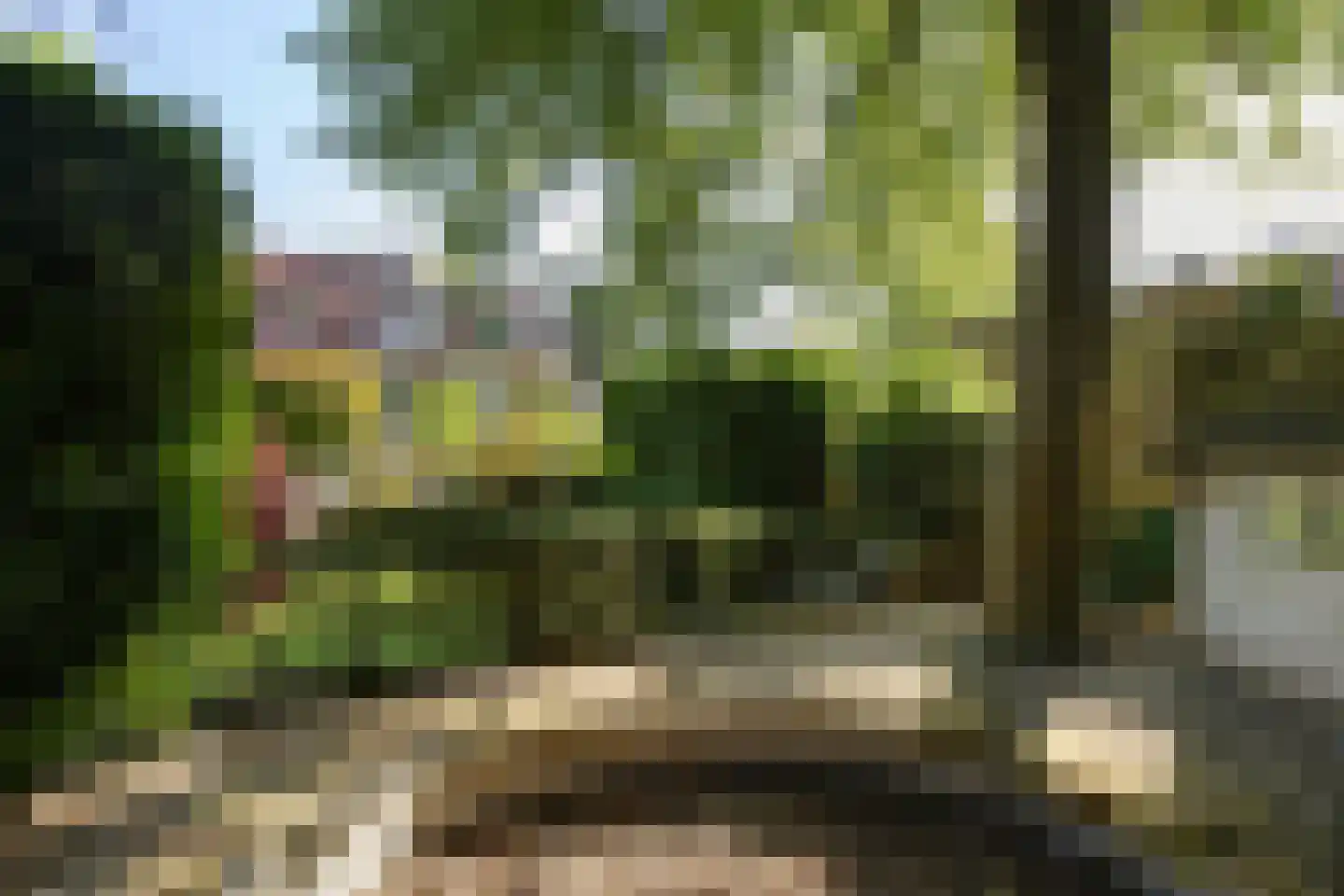 Zweerslaan 36 Bilthoven thumbnail 53